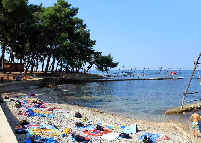 Appartement With Parking Space Basanija, Umag - 21418